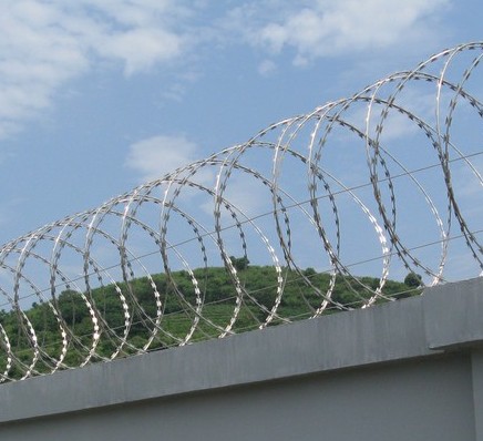 圍墻防盜鐵絲網(wǎng) 圍墻防盜鐵絲網(wǎng)