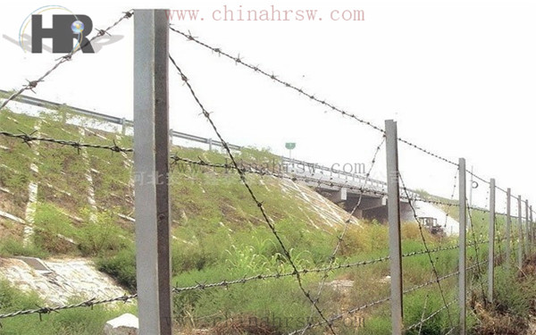 刺絲圍欄 刺絲圍欄