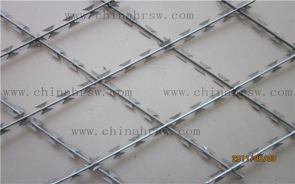 刀片刺網(wǎng) 刀片刺網(wǎng)