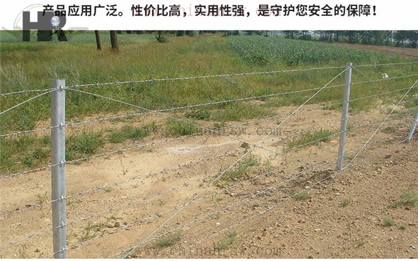 刺繩安裝效果圖 刺繩安裝效果圖