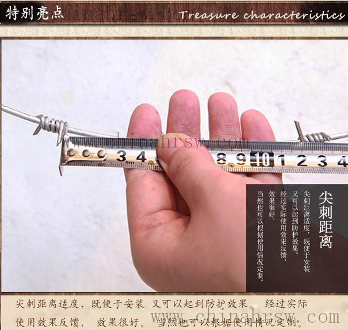 帶刺鐵絲網細節圖 帶刺鐵絲網細節圖