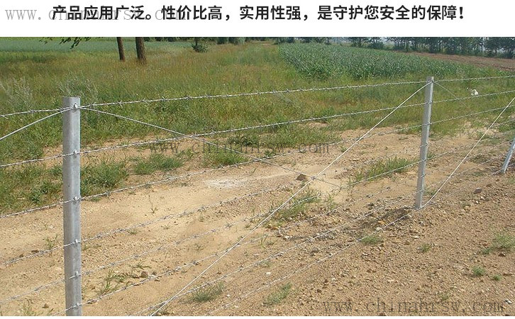 不同的刺繩立柱成本 不同的刺繩立柱成本