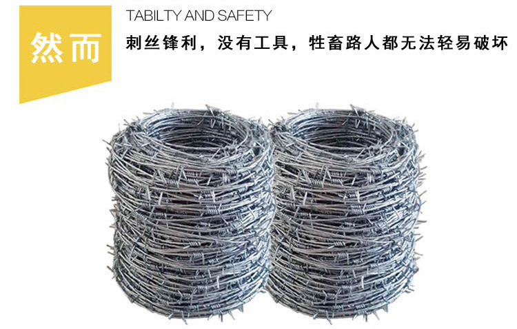 刀片刺繩防護網 刀片刺繩防護網