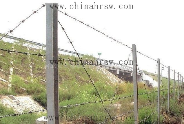 雙股刺繩 雙股刺繩