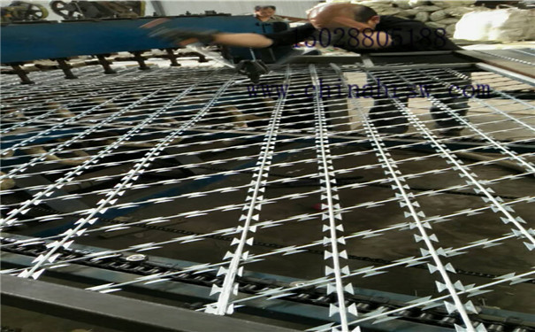 鍍鋅刺繩 鍍鋅刺繩