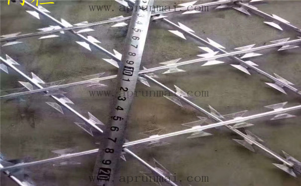 監獄刺絲圍欄 監獄刺絲圍欄