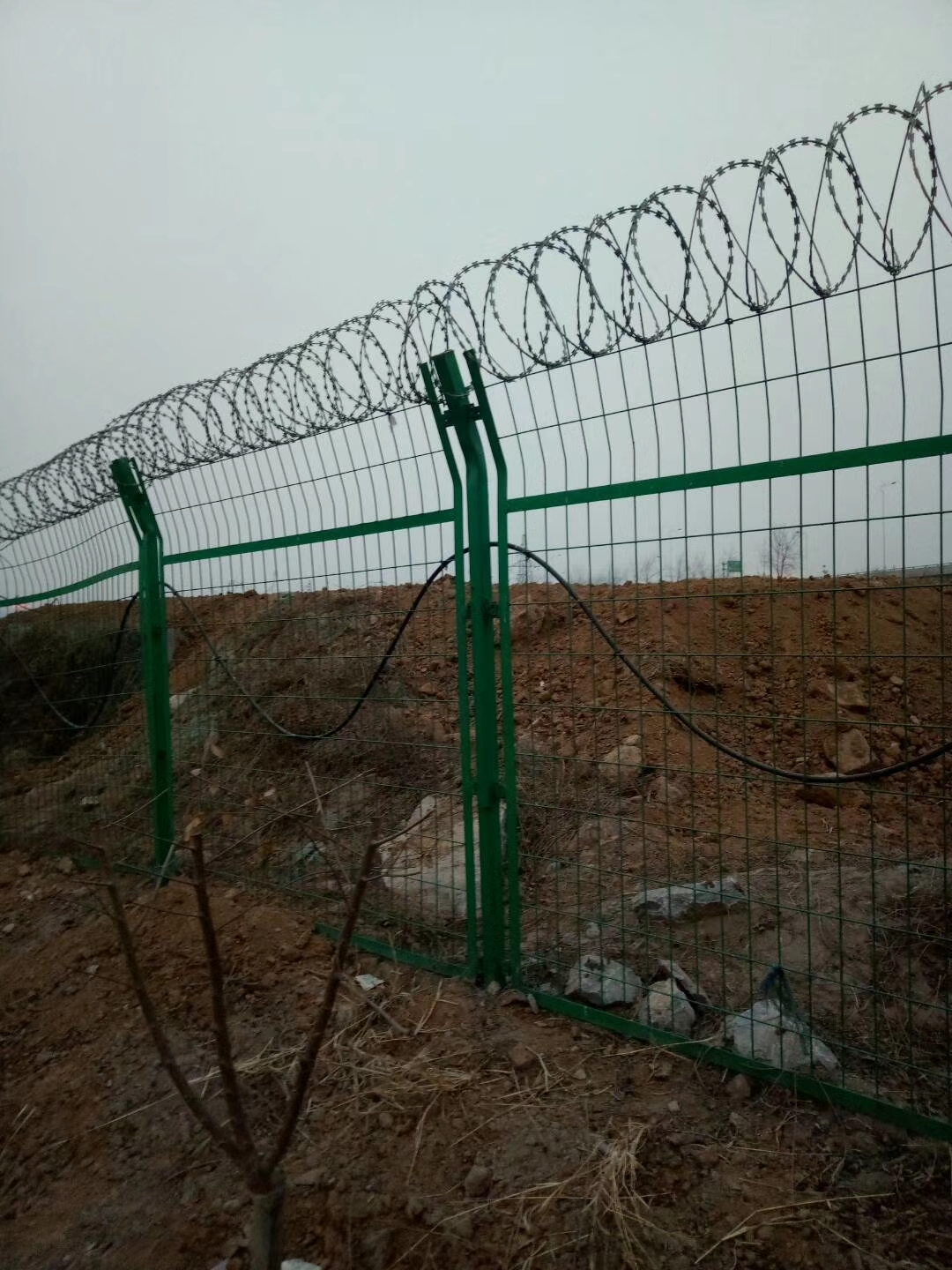 mmexport1520590144302.jpg mmexport1520590144302.jpg