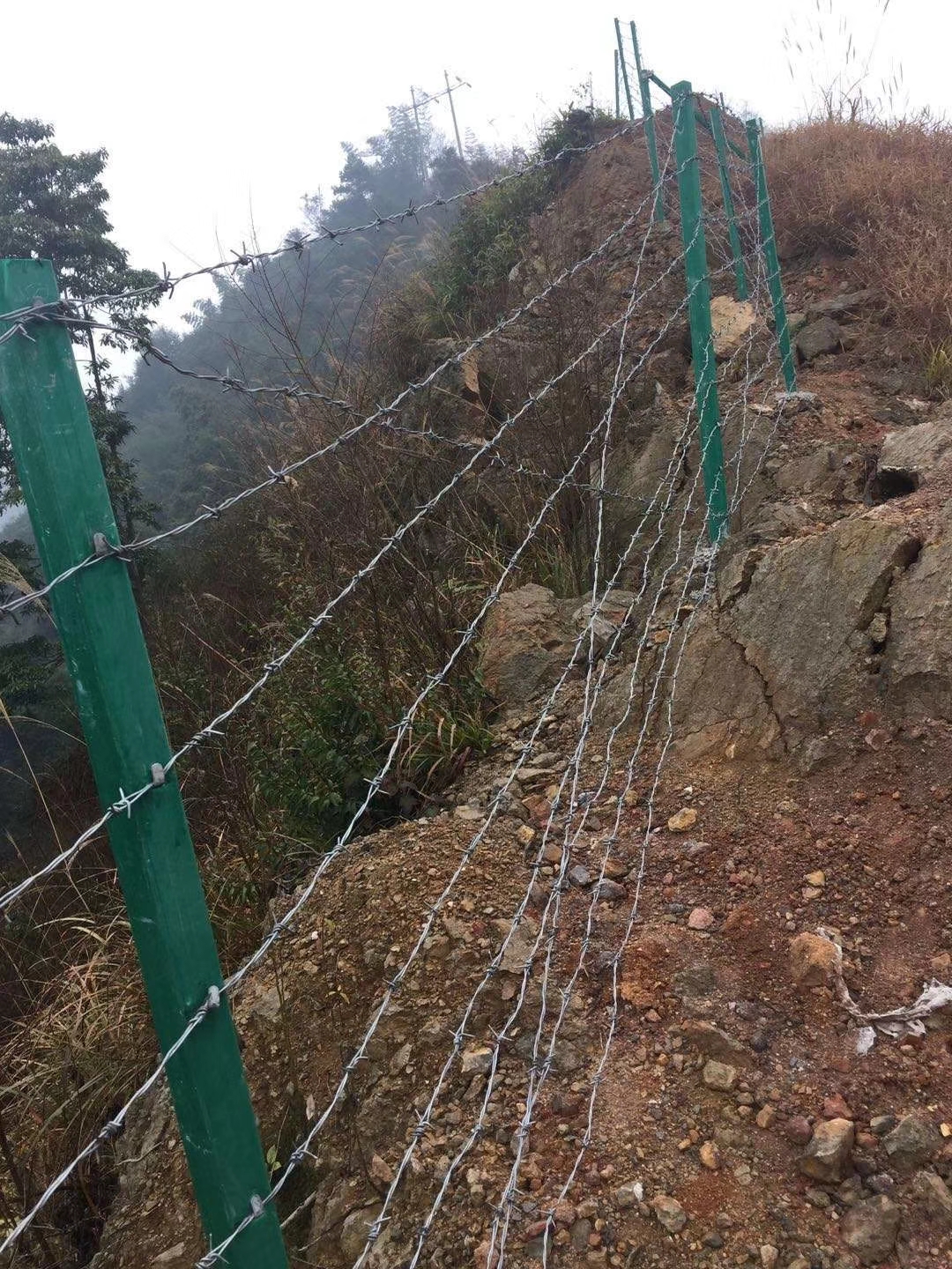 mmexport1515771046965.jpg mmexport1515771046965.jpg