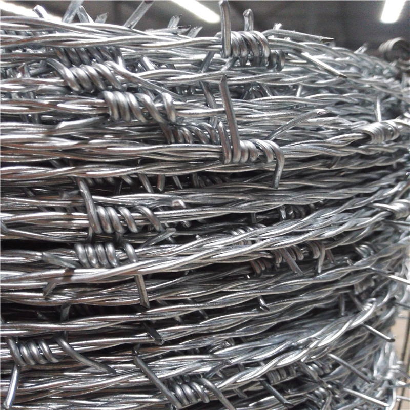 IMG_20151106_110638.jpg IMG_20151106_110638.jpg